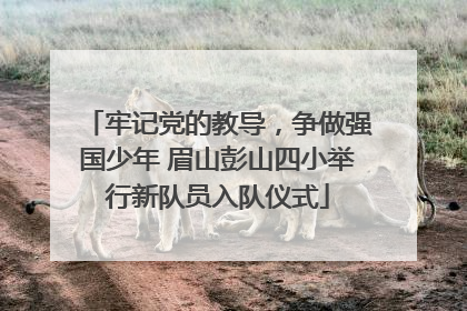 牢记党的教导，争做强国少年 眉山彭山四小举行新队员入队仪式